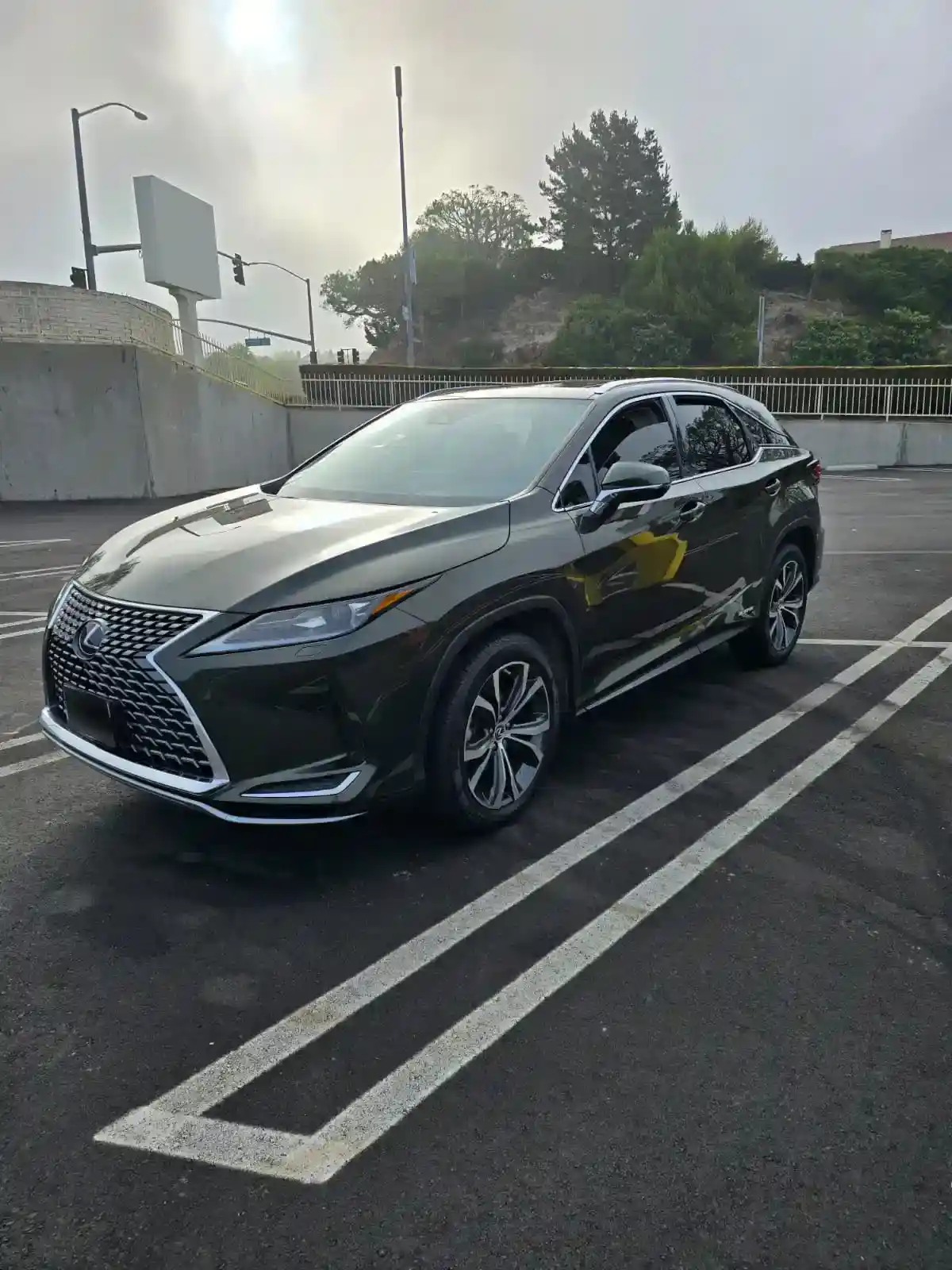 Lexus RX450h Hybrid Executive SUV South Bay